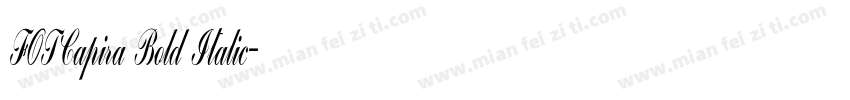 FOTCapira Bold Italic字体转换